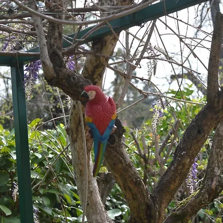 Konukevi Il Giardino Nel Parco R&b